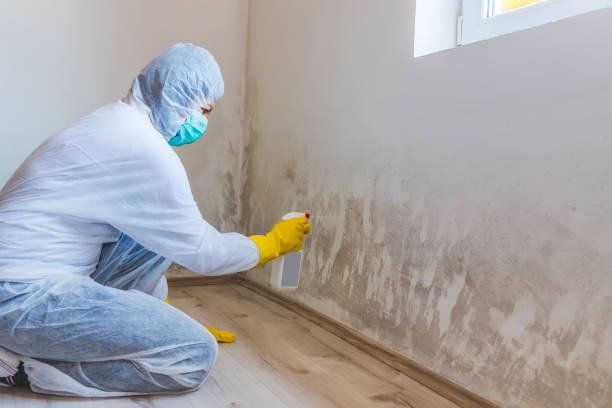Licensed Crawl Space Mold Removal service in Glenn Dale, MD - WQB Mold Removal